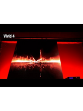 Load image into Gallery viewer, Chauvet Vivid 4 (4-pack w/ flight case)