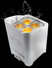 Load image into Gallery viewer, Chauvet Freedom Par Quad-4 IP (White Housing)