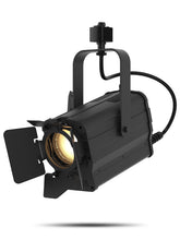 Load image into Gallery viewer, Chauvet Ovation FTD-55WW