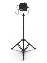 Load image into Gallery viewer, Chauvet Ovation SP-300CW